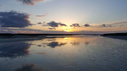Sortie nature en Baie de Somme