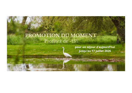 Promo