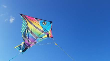 Rencontres internationales de cerfs-volants de Berck-sur-Mer 