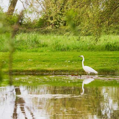 Séminaire Baie de Somme · Domaine Les Saules